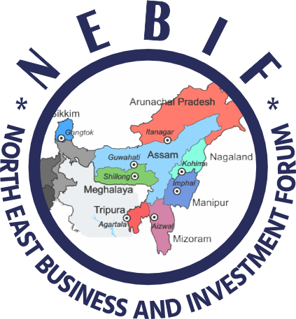 Vibrant North East 2026