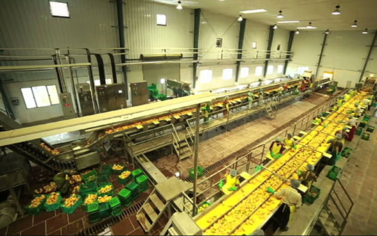 Agro and Food Processing